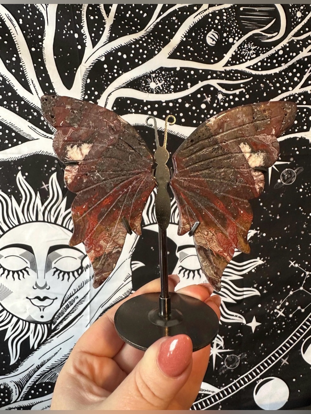 Crazy Lace Agate Butterfly Wings on Stand